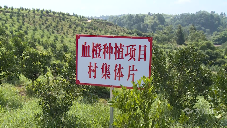 微信圖片_20210816154908.png