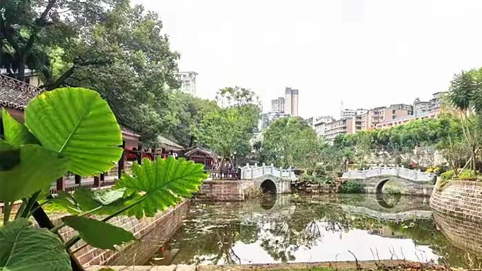 282126_1633050179614805.jpg 微信圖片_20210926111255_副本.jpg