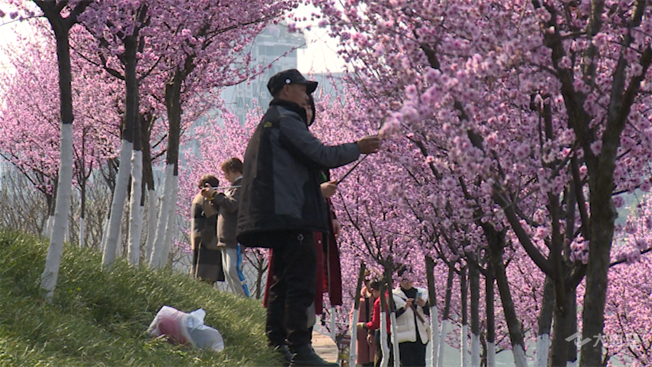 微信圖片_20220301103959.png