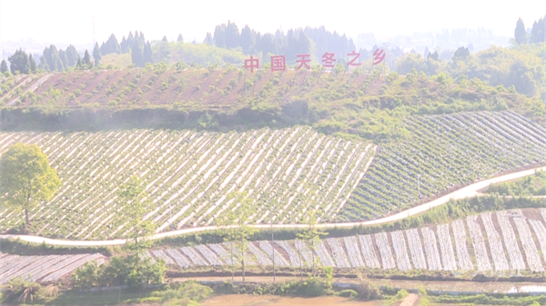 九三學(xué)社1.png