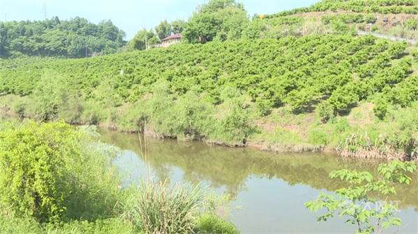 凌家鎮(zhèn)2.png