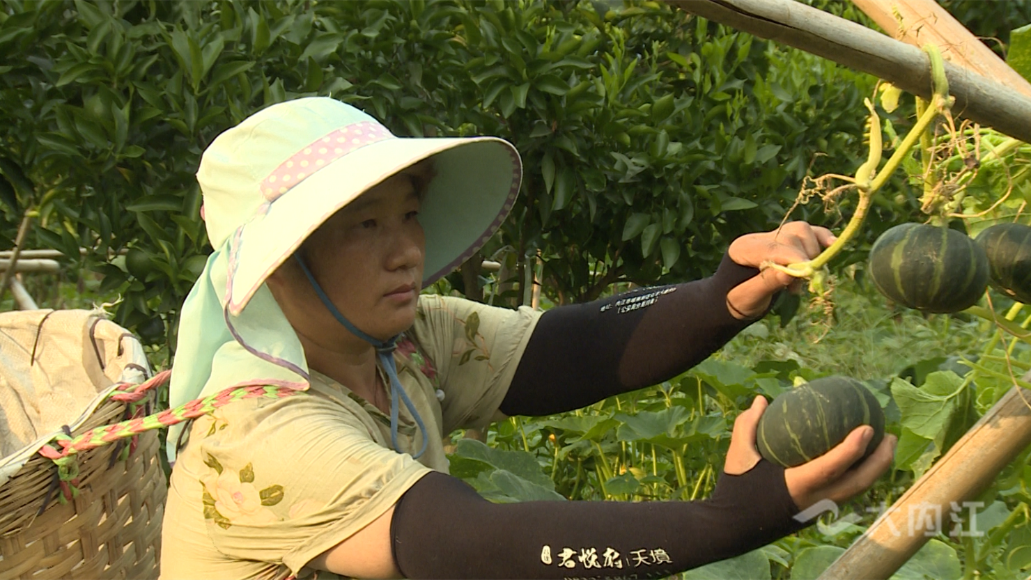 微信圖片_20220802160312.png